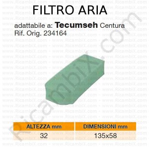 Filtro aria TECUMSEH® | riferimento originale 234164